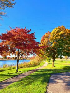 Late summer landscape symbolizing the changing seasons of life