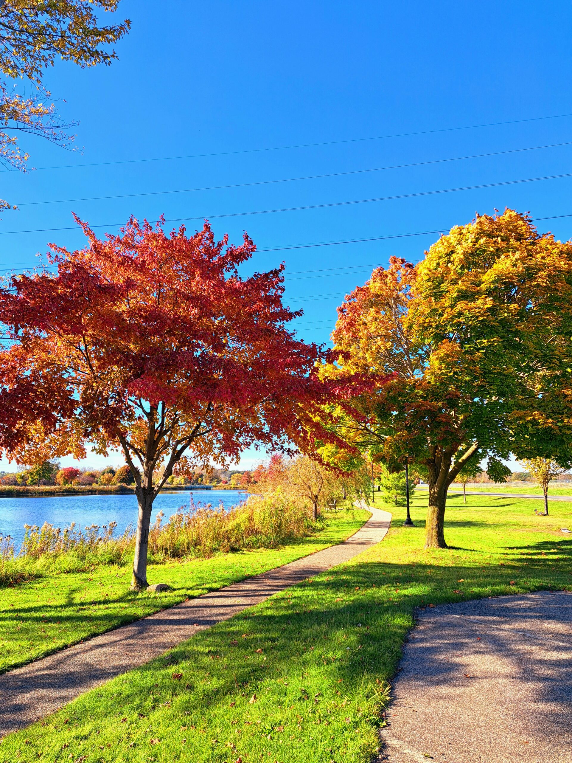 Late summer landscape symbolizing the changing seasons of life
